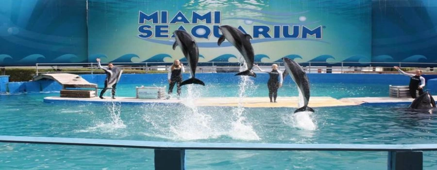 Tickets & Programs - Miami Seaquarium