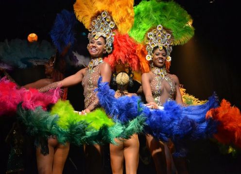 Tropical ginga show in Rio de Janeiro. Rio de Janeiro, BRAZIL