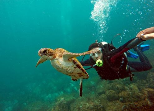 Private excursion: Day trip to Arraial do Cabo from Rio de Janeiro. Rio de Janeiro, BRAZIL