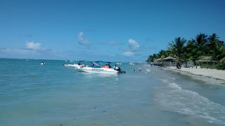 One day trip to Praia dos Carneiros from Boa Viagem, Pina or Piedade- Con Navegacion. Recife, BRAZIL